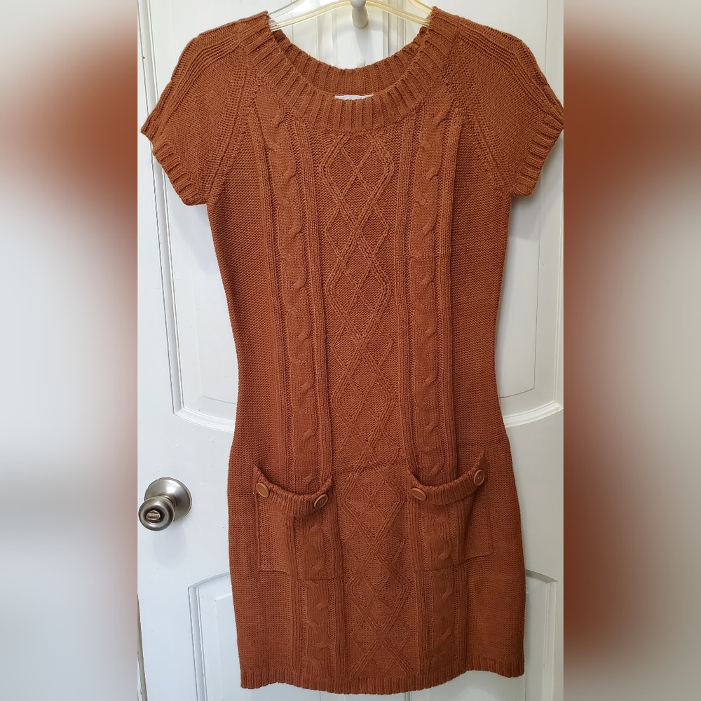 Pink Rose Brown Sweater Dress L
